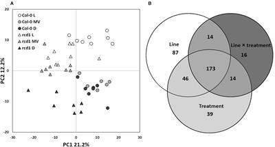 Primary Metabolite Responses to Oxidative Stress in Early-Senescing and Paraquat Resistant Arabidopsis thaliana rcd1 (Radical-Induced Cell Death1)